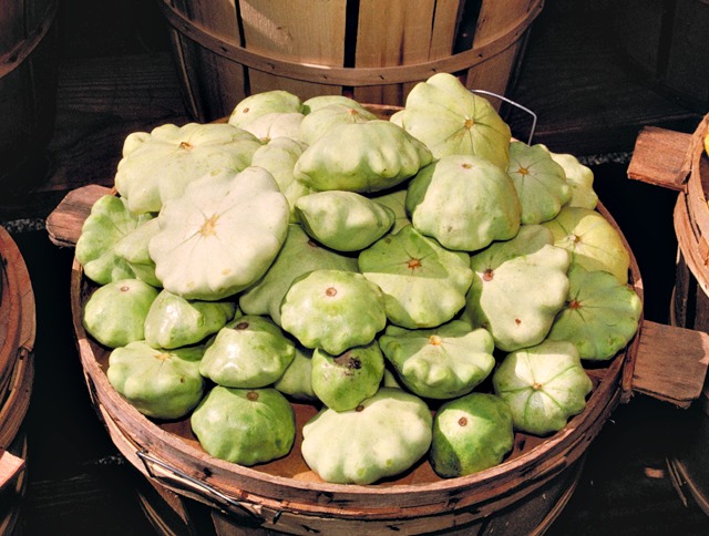 A abobrinha PattyPan tem uma borda recortada deliciosa e um sabor delicado.