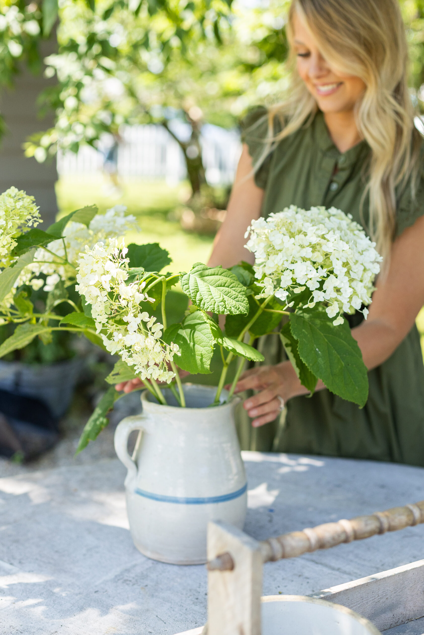 plantas vivas