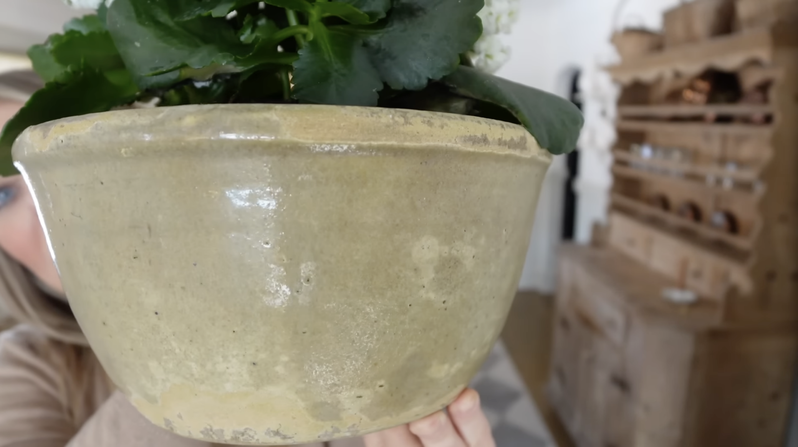 Cerâmica antiga para plantas de casa