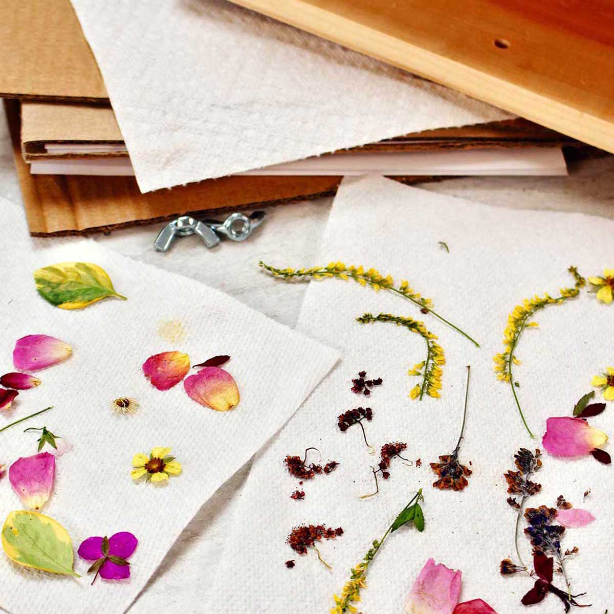 Prensa de flores e duas toalhas de papel com pétalas e flores prensadas.
