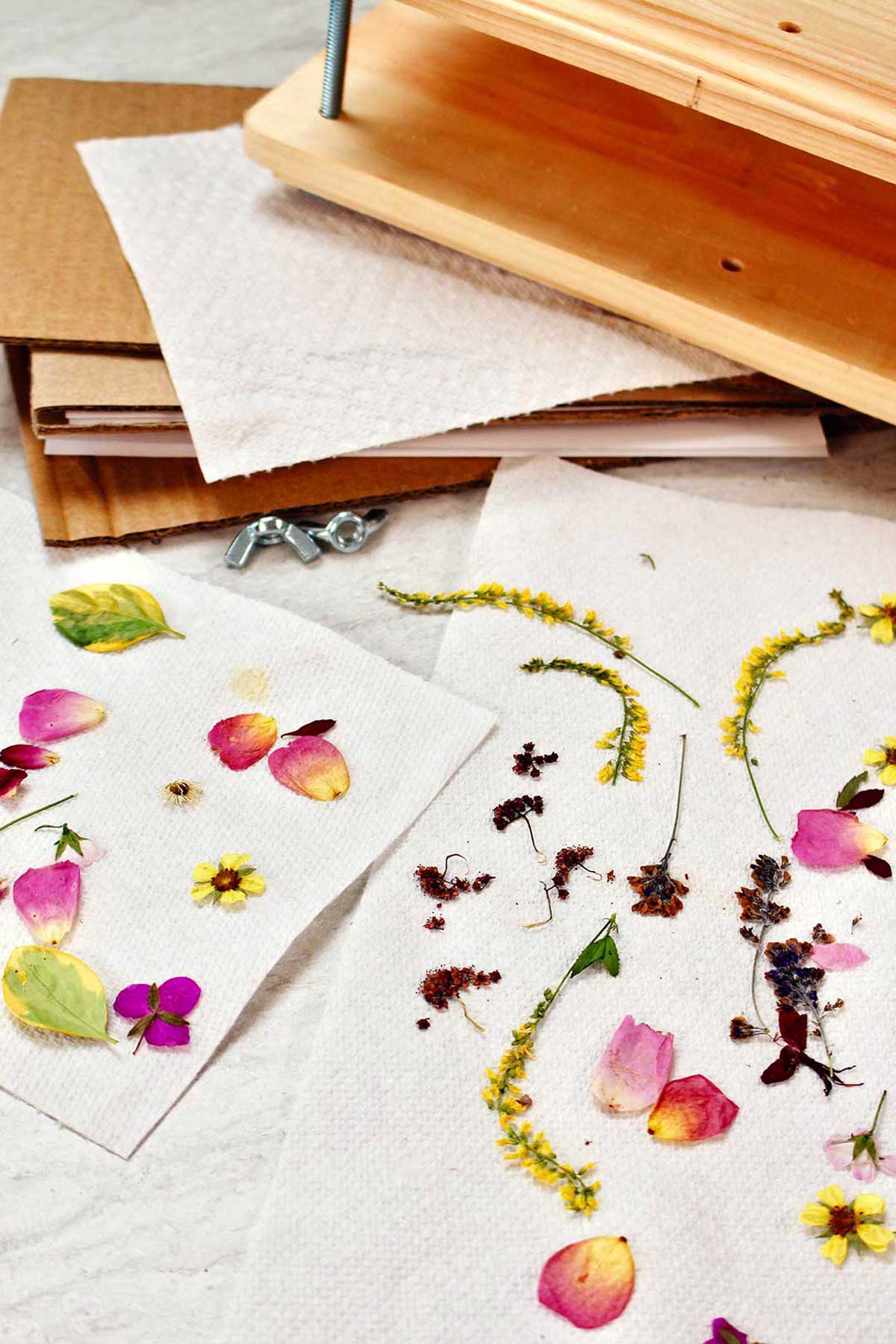 Prensa de flores e duas toalhas de papel com pétalas e flores prensadas.