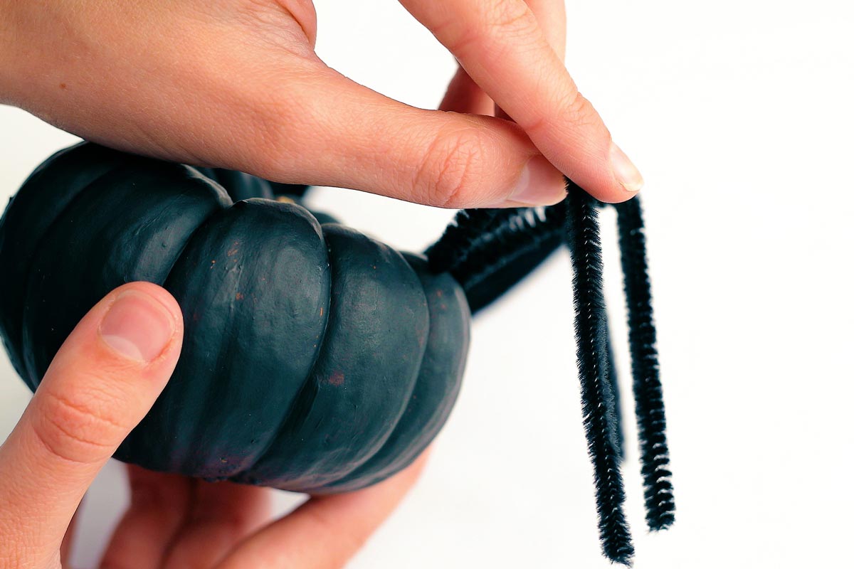 Adicionar limpadores de cachimbo pretos a uma mini abóbora pintada de preto para criar pernas de aranha.