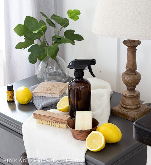 Produtos de limpeza totalmente naturais para usar na limpeza de primavera