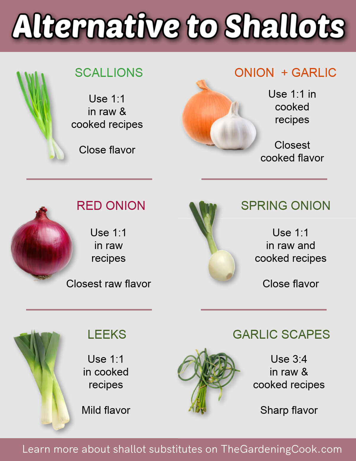 Um imprimível mostrando diferentes alliums e como eles podem ser usados para substituir chalotas nas receitas.