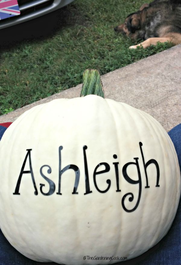 Adesivo da Ashleigh