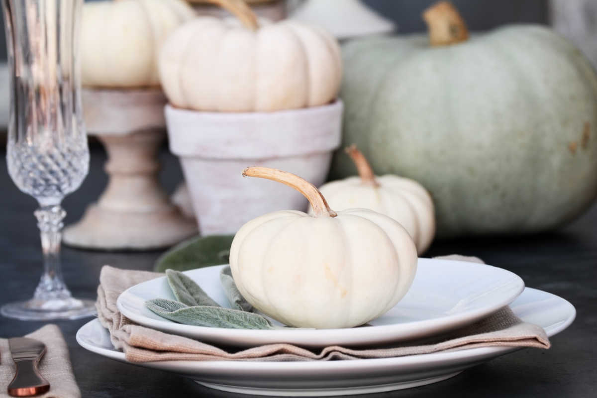 Decorate for Thanksgiving. Thanksgiving tablescape with baby boo heirloom pumpkin on a plate next to a champagne flute and knife. Other pumpkins are in the background.