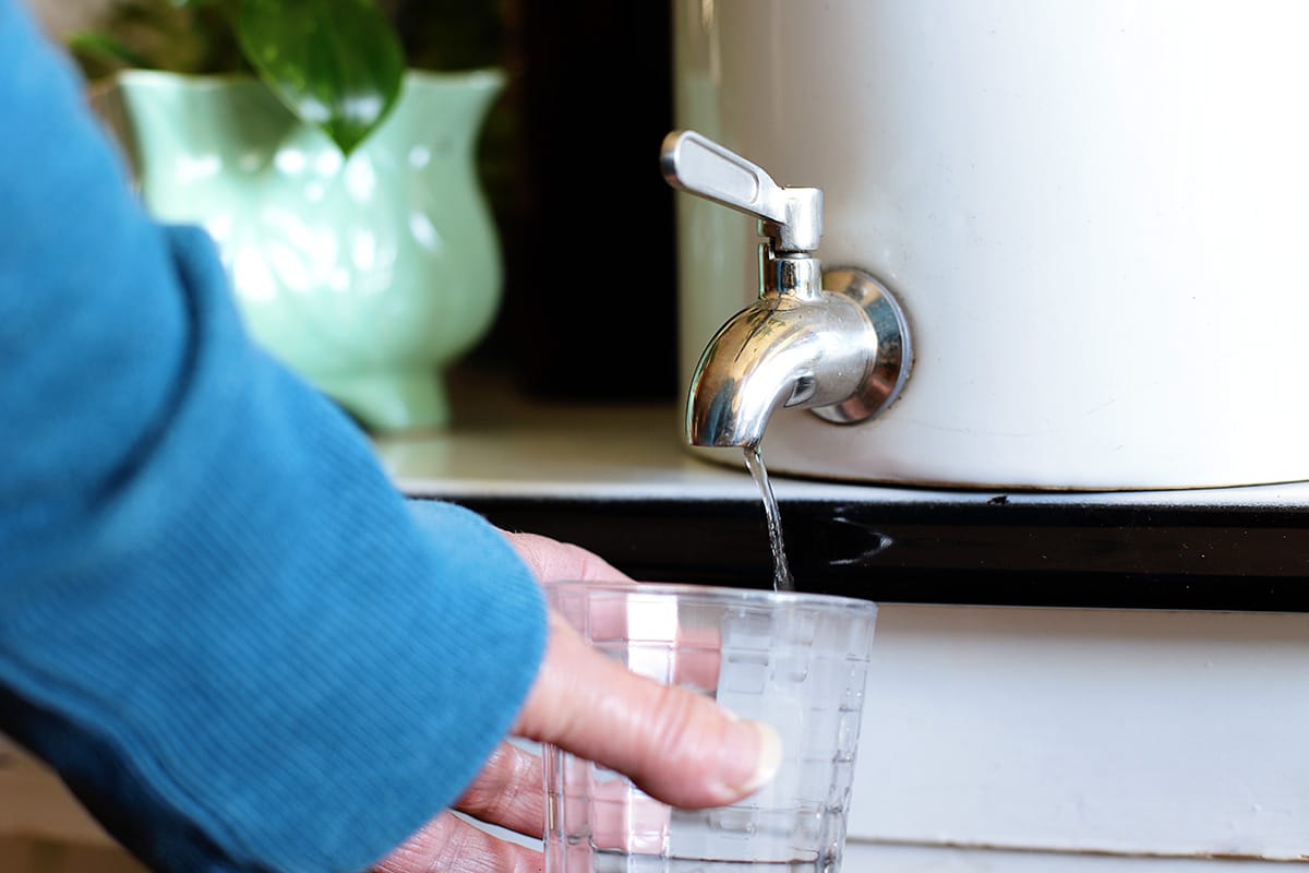Água gotejando da torneira do dispensador de bebidas que agora está sendo usado como vaso. Permite que a água drene para evitar que as raízes apodreçam.