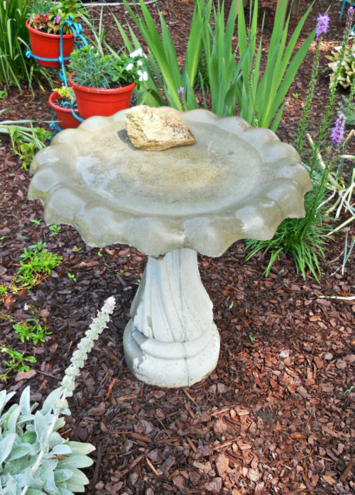 Um banho de pássaros limpo com bicarbonato de sódio ao sol, ao lado de algumas plantas do jardim.