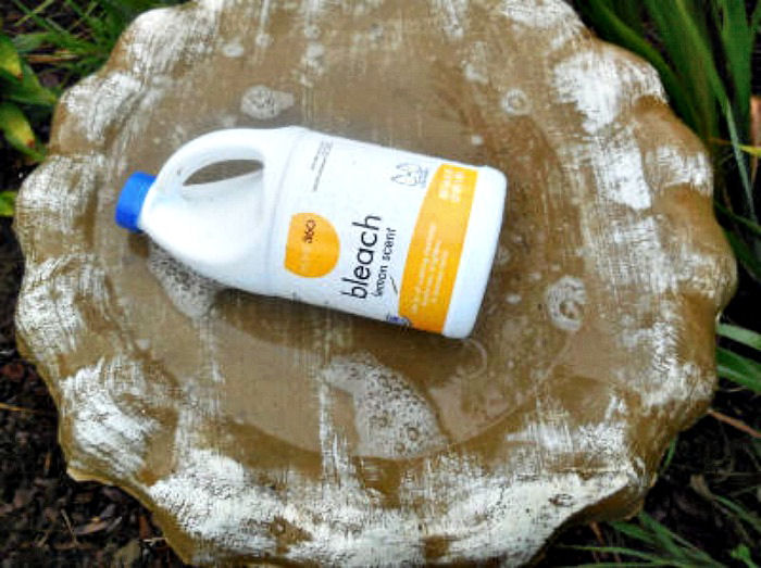 Uma foto em close de um bebedouro de pedra preenchido até a metade com água, com um frasco de água sanitária doméstica dentro dele, que será usado como limpador do bebedouro de pássaros.