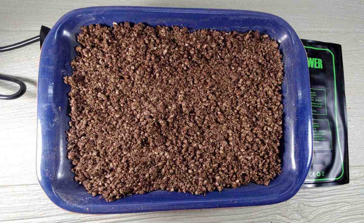 Um recipiente com solo para iniciar sementes sobre uma manta térmica para fornecer calor por baixo.