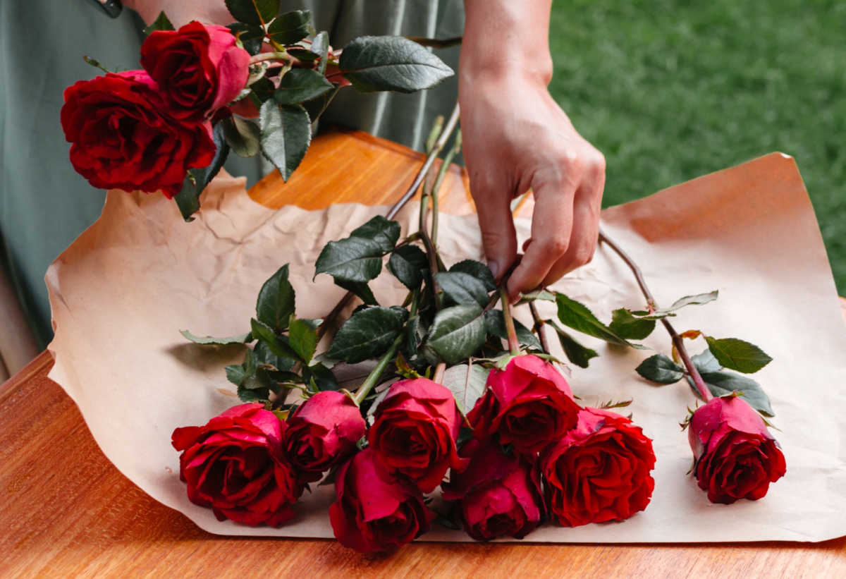 Mãos montando um buquê de dez rosas vermelhas para dizer que você é perfeito(a).