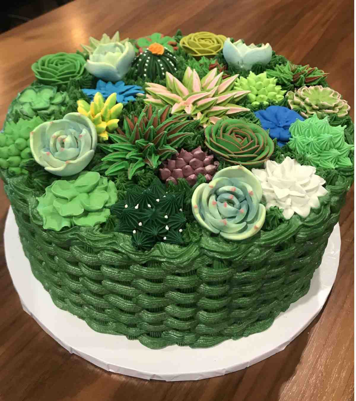 Um bolo com suculentas decorado para parecer uma cesta verde trançada, contendo várias suculentas, incluindo várias variedades de echeveria como suculentas de buttercream, pasta de goma e fondant.