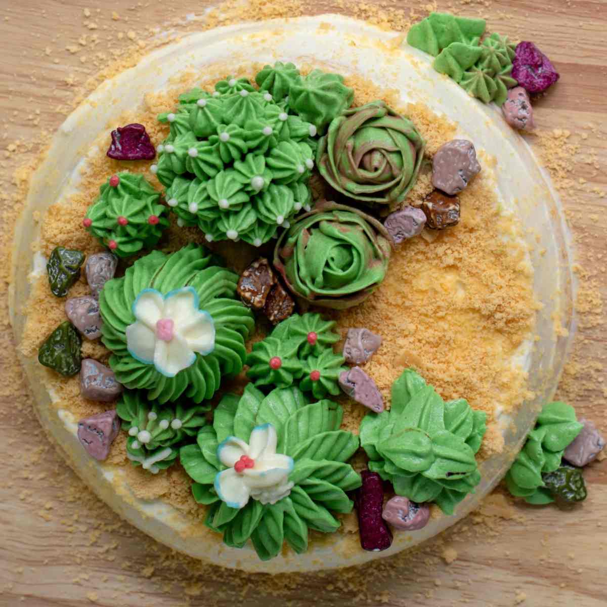 Um bolo de cacto com buttercream e areia de bolacha Graham no topo do bolo, junto com vários tipos de cactos de buttercream e pedras de chocolate.
