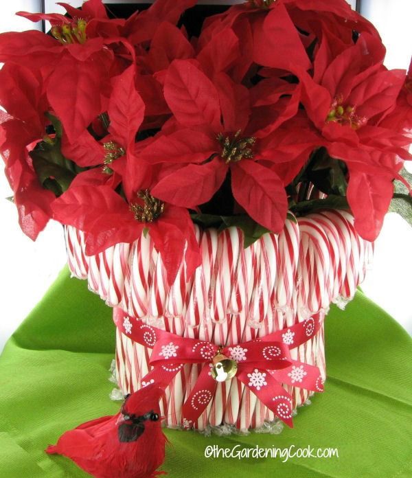 Vaso de pirulito em espiral é um projeto de decoração de Natal fácil