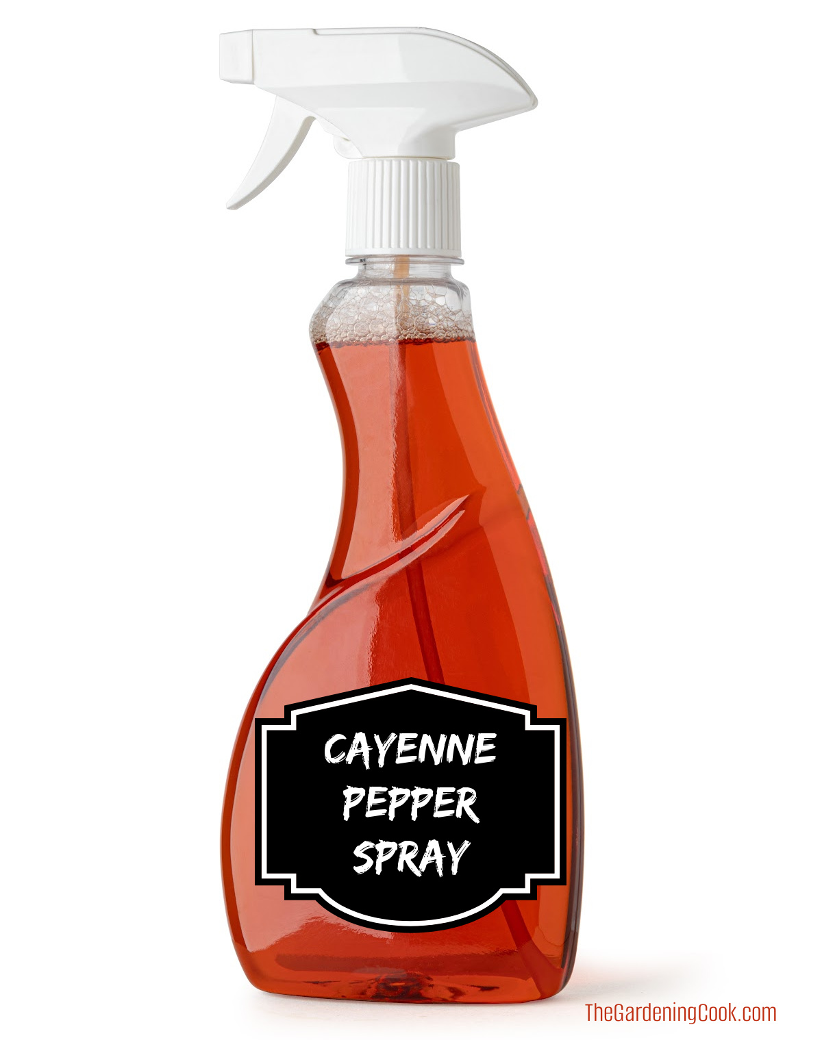 Spray de pimenta-caiena em uma garrafa transparente, usado para manter os esquilos afastados.