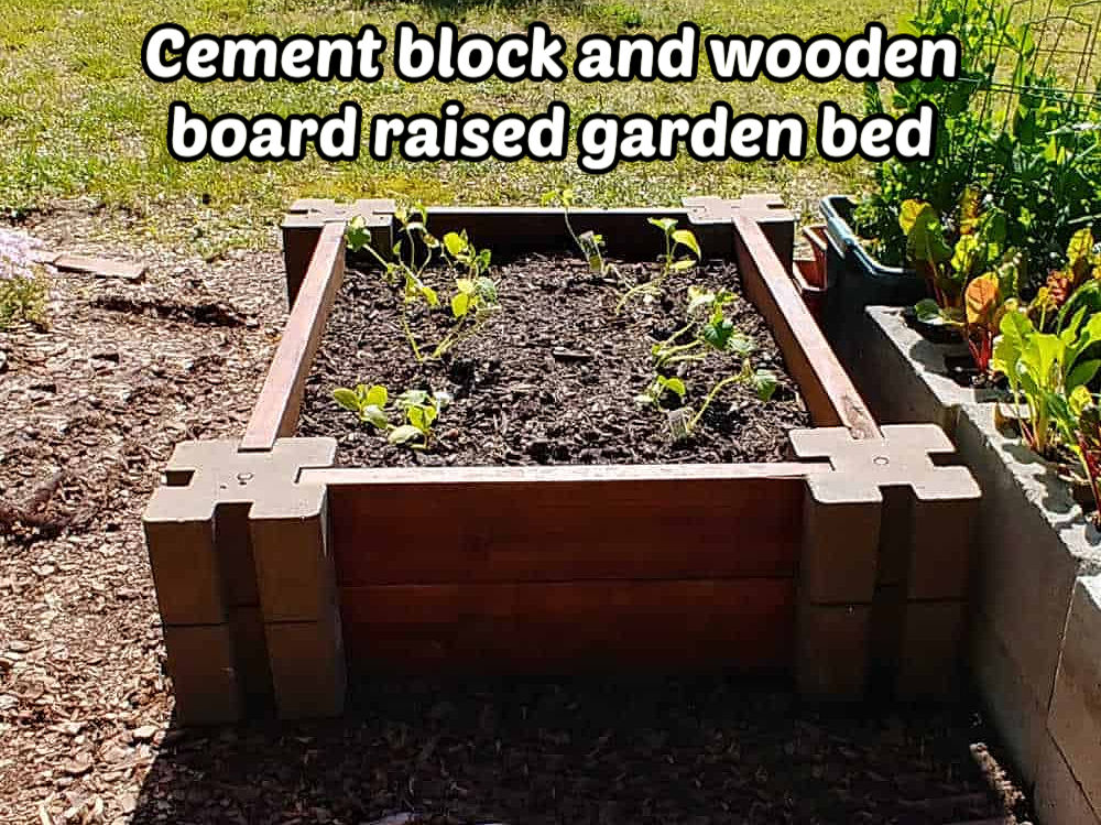 Projeto DIY de cama de jardim elevada feita de bloco de cimento e tábua de madeira.