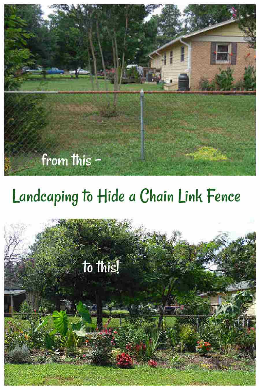Paisagismo para esconder uma cerca de tela Paisagismo para esconder uma cerca de tela com fotos de antes e depois