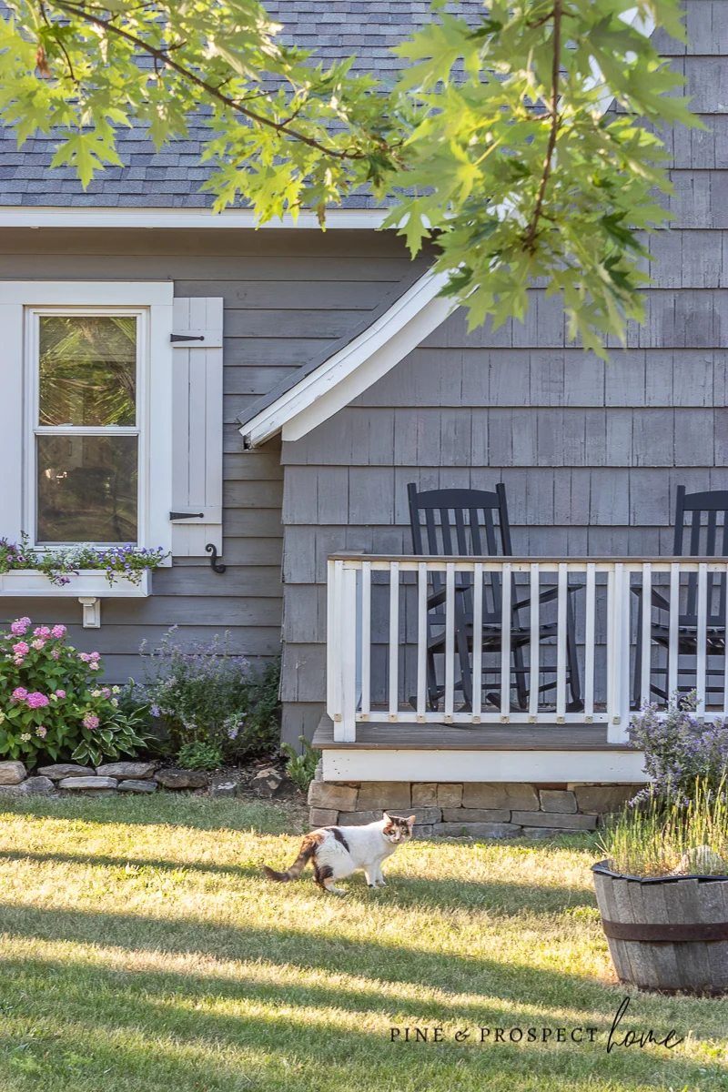 Charming Summer Cottage Home Exterior