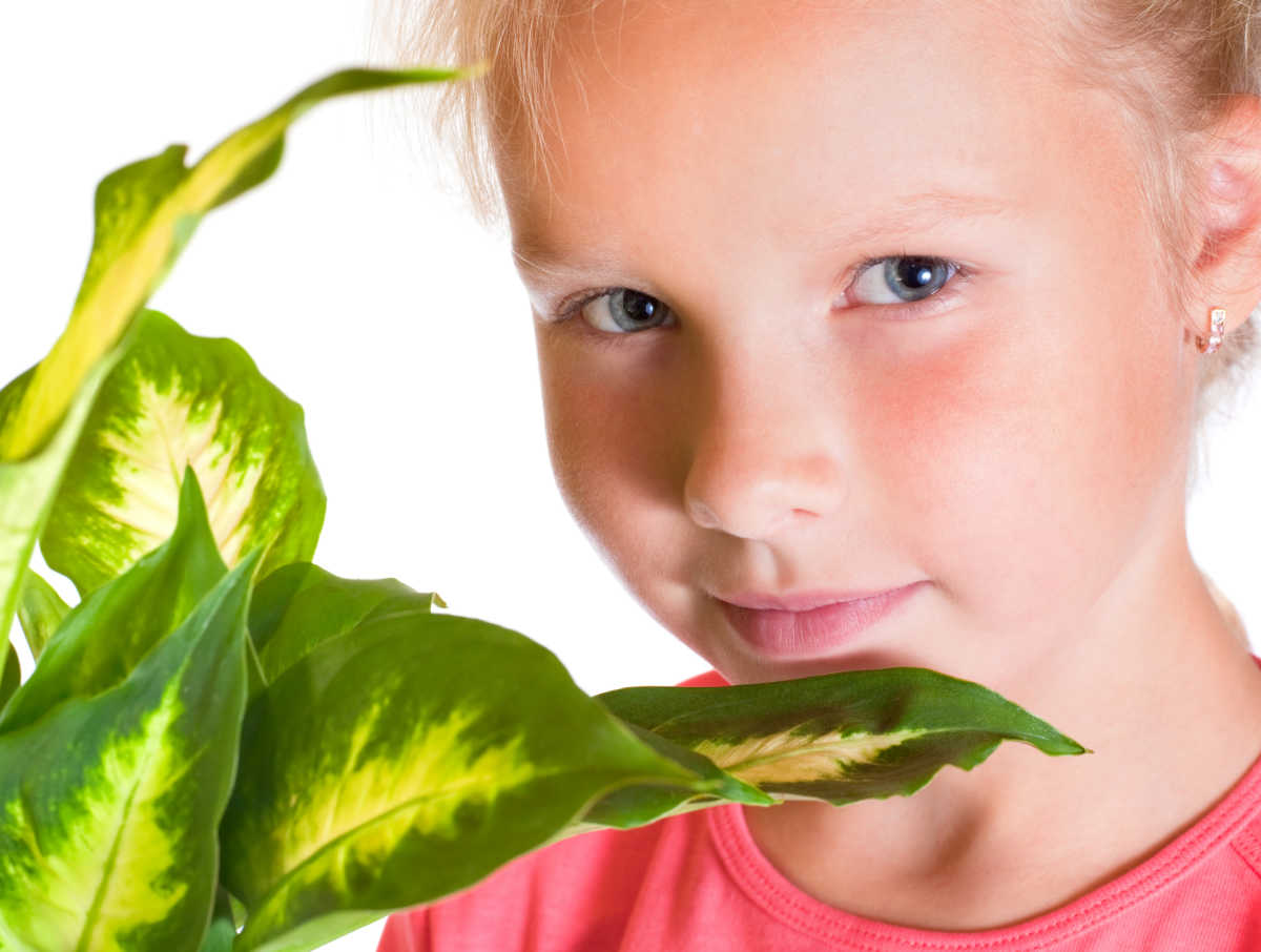 Menina jovem perto de uma planta de dieffenbachia.