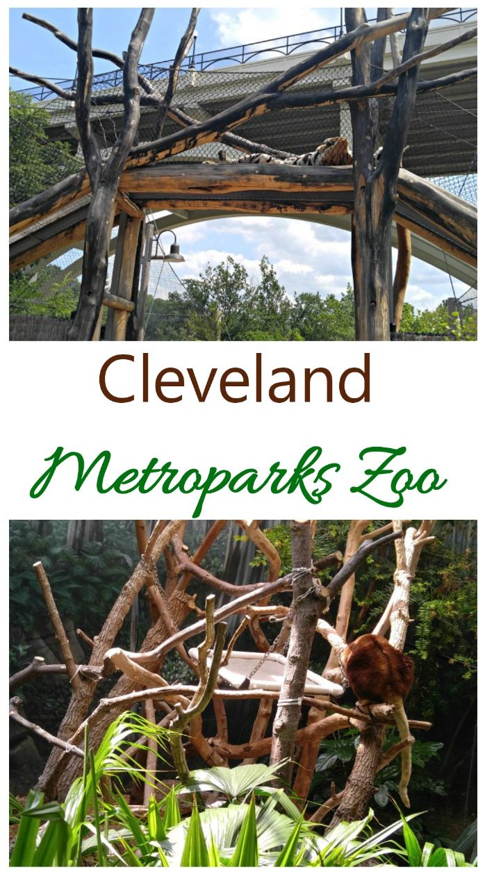 O Zoológico de Cleveland Metroparks abriga 3000 animais e mais de 10.000 plantas