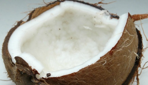 Um coco fresco aberto sobre uma bancada.