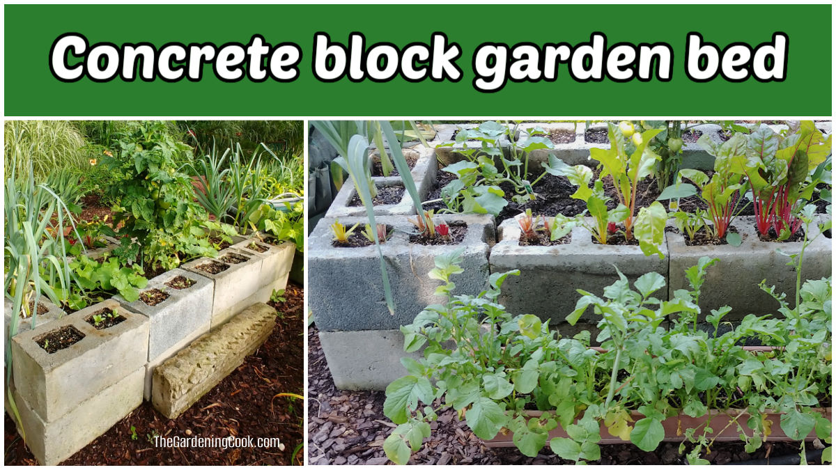 Imagens de uma cama de jardim de blocos de concreto usada para cultivar vegetais.