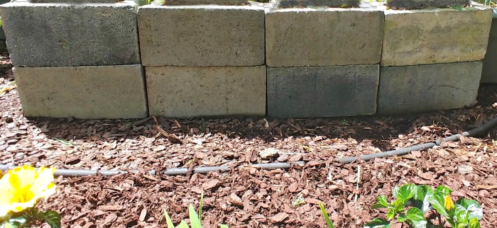 8 blocos de cimento em uma cama de jardim feitos em duas fileiras para os lados de um canteiro.