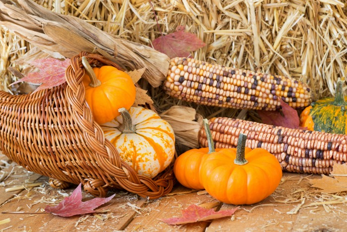 Cornucópia com abóboras, folhas e milho indiano sobre uma mesa de madeira.
