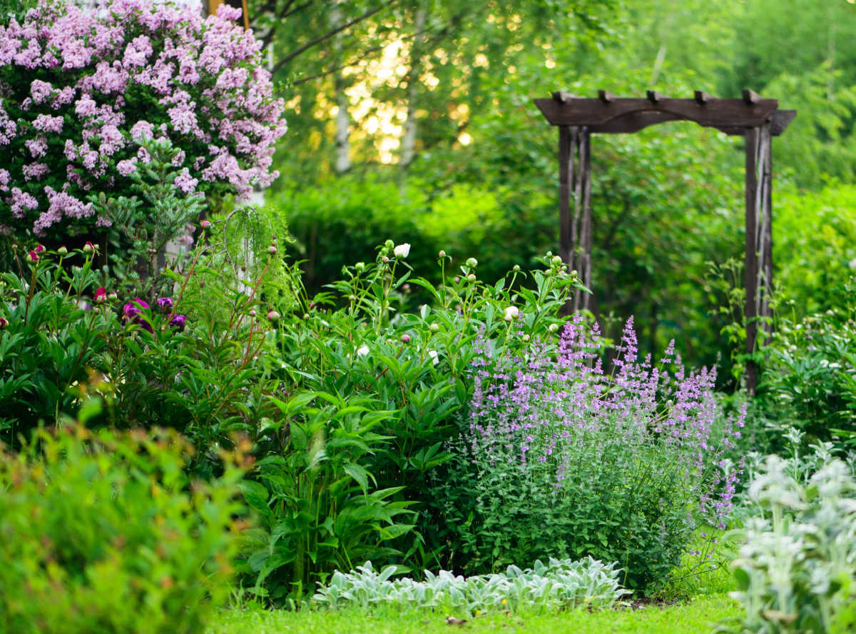 Um lindo jardim de campo com um arco ao fundo.