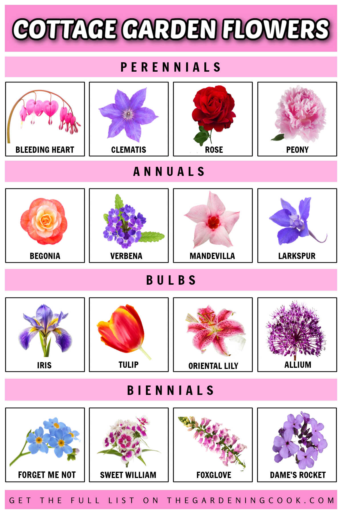 Uma lista de flores para jardim cottage em formato jpg com imagens e nomes abaixo das imagens.