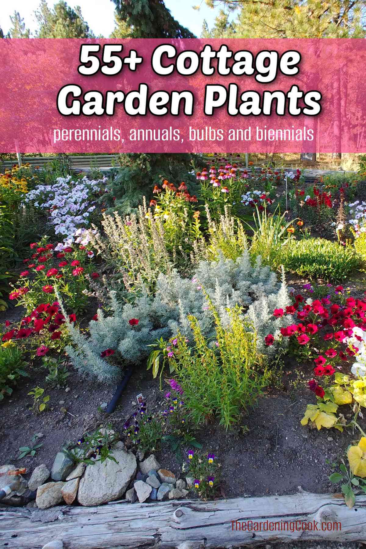 Um jardim bonito em plena floração com sobreposição de texto em rosa dizendo 55+ plantas de jardim cottage.