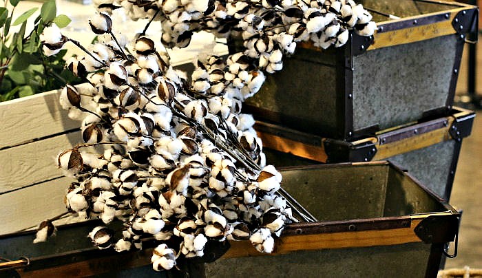 Caules de algodão em caixas galvanizadas