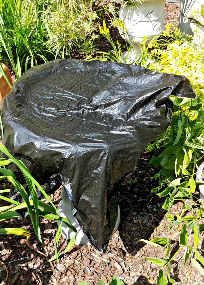 Um bebedouro de pássaros de concreto coberto com um saco de lixo plástico preto de 40 galões em um jardim.