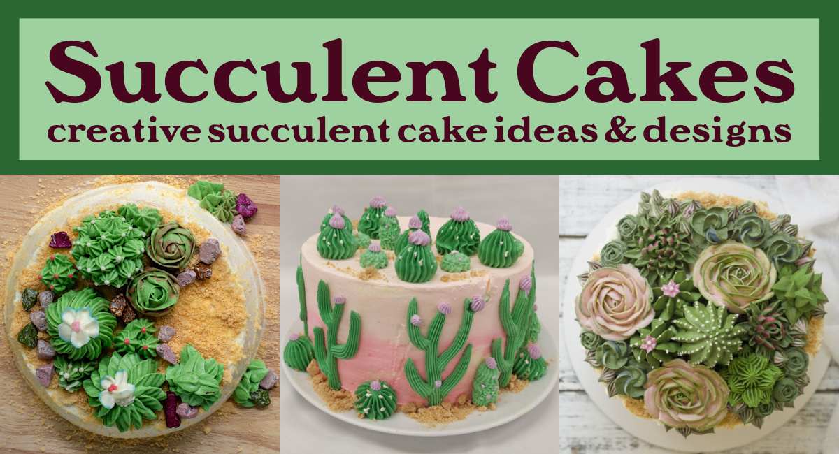 Uma colagem de dois bolos com suculentas e um bolo de cacto, todos com suculentas de buttercream aplicadas com bico, com uma sobreposição de texto acima dizendo bolos com suculentas, ideias criativas de bolos com suculentas e designs