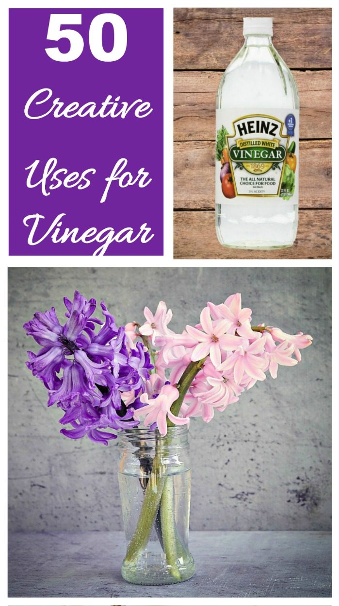 50+ usos criativos do vinagre para a casa e o jardim