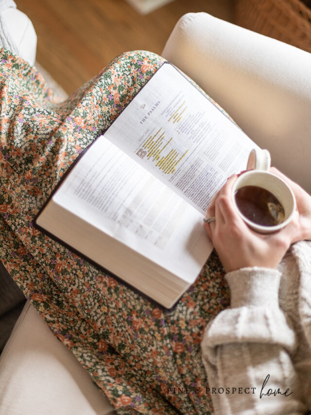 Como preparar sua casa para receber convidados do feriado com uma decoração aconchegante
