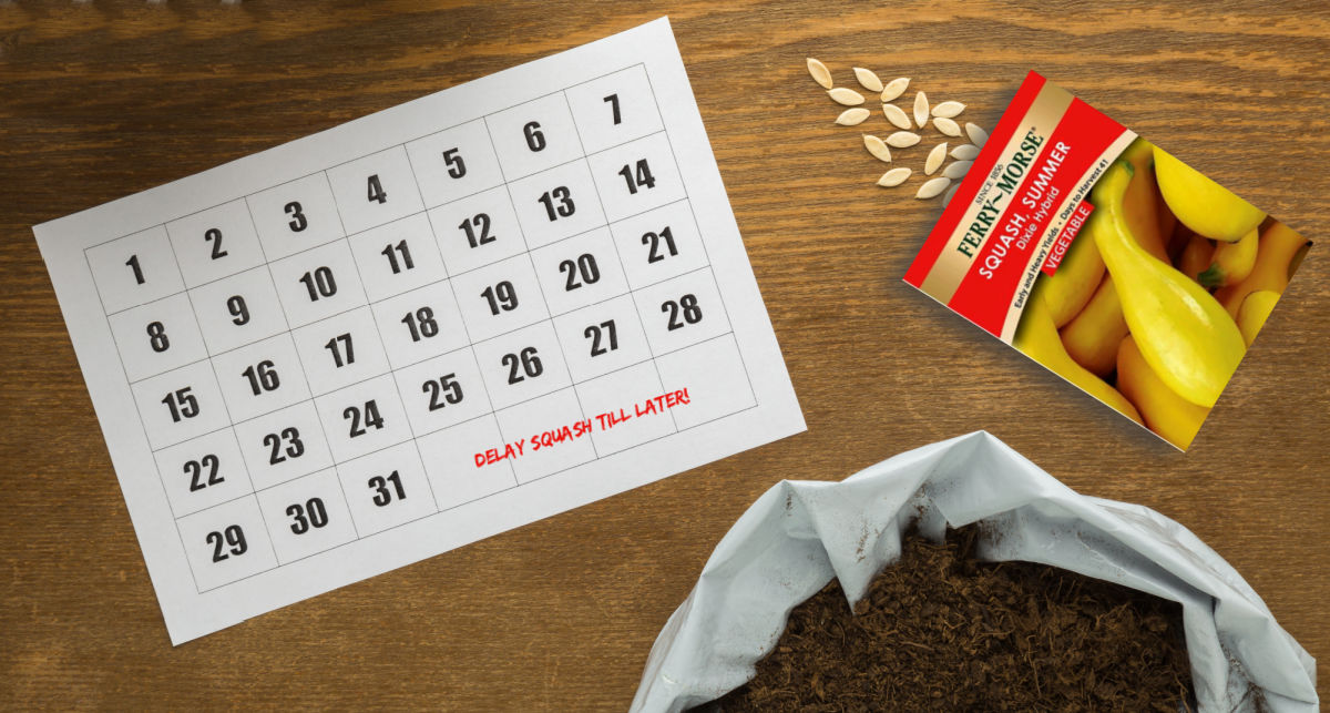 Sementes, calendário e uma nota para adiar o plantio das abóboras até mais tarde.
