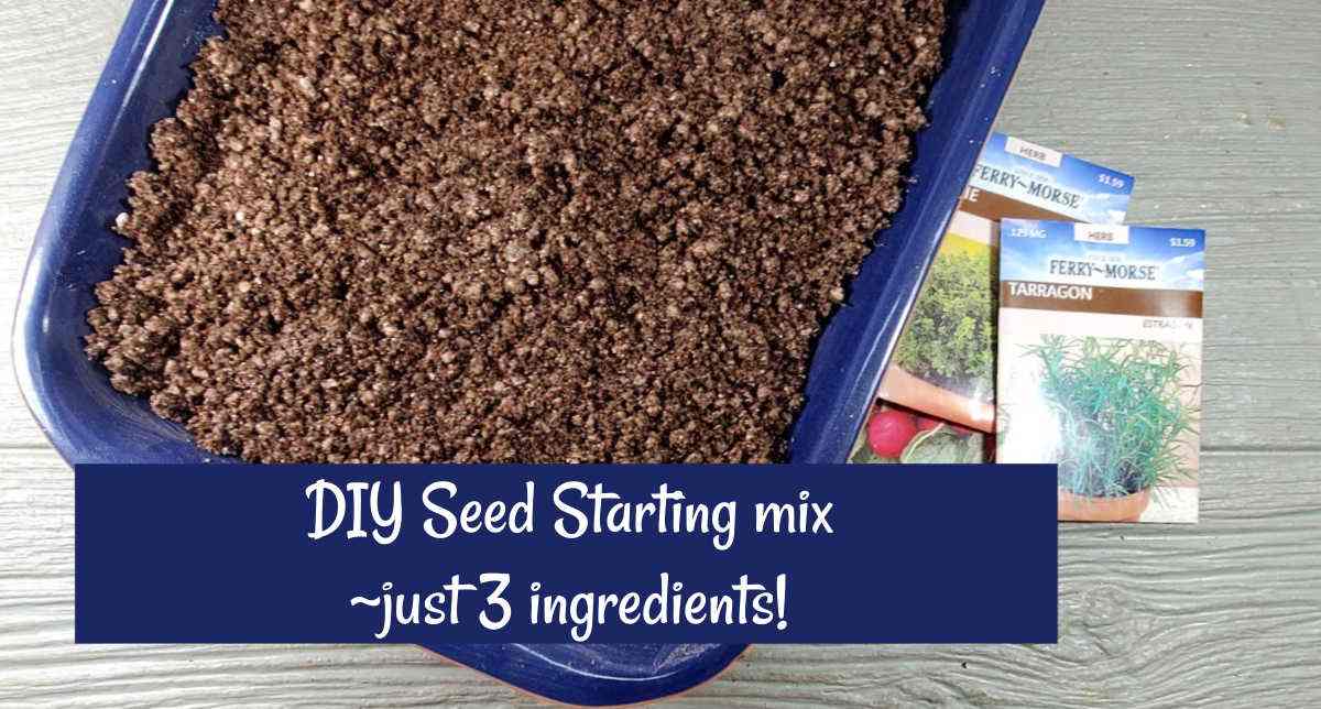 Mistura DIY para iniciar sementes Mistura sem solo em uma bandeja esmaltada azul com o texto Mistura DIY para iniciar sementes - apenas 3 ingredientes.