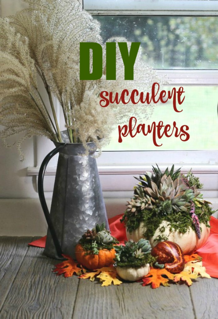 Plantadores de suculentas DIY