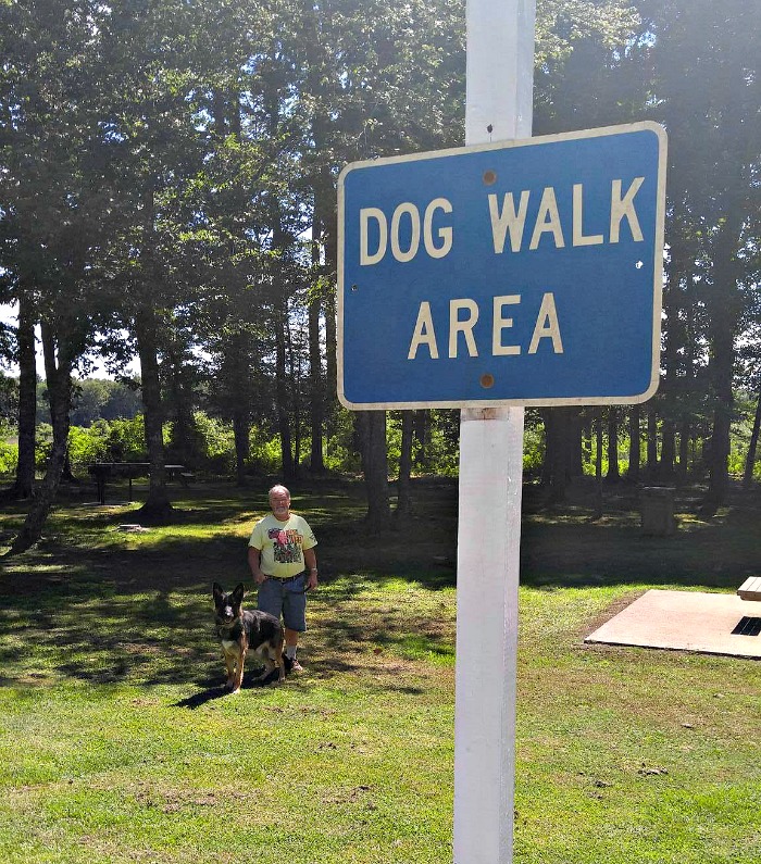 Passear com um cachorro o deixa mais relaxado e libera sua energia