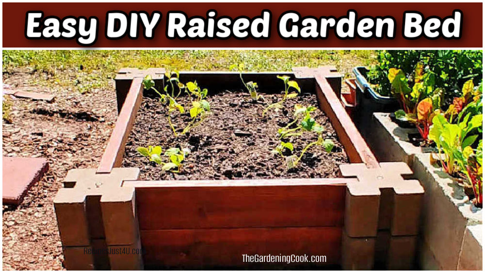 Uma cama de jardim elevada fácil DIY feita de blocos de parede de concreto e tábuas de madeira.