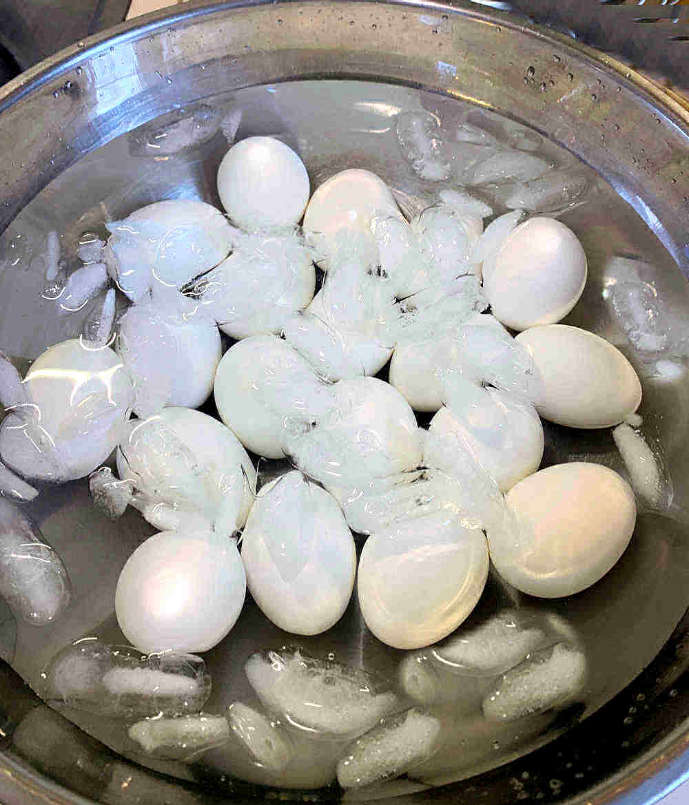 Ovos em uma tigela de água com gelo.