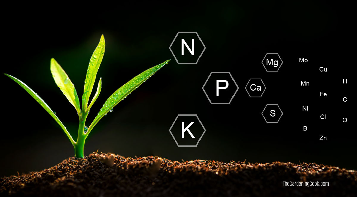 Diagrama mostrando nutrientes essenciais das plantas, incluindo NPK (macronutrientes) e micronutrientes como ferro, zinco, manganês e boro ao redor de uma planta crescendo no solo.