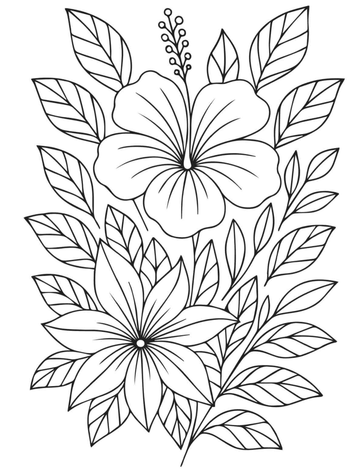 Uma página para colorir de flores com duas flores tropicais de hibisco e folhagens no centro da folha para colorir.
