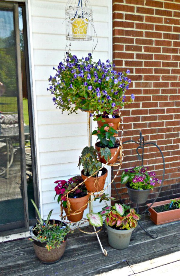 Plantas com flores em um suporte em degraus para atrair polinizadores para uma horta na varanda.