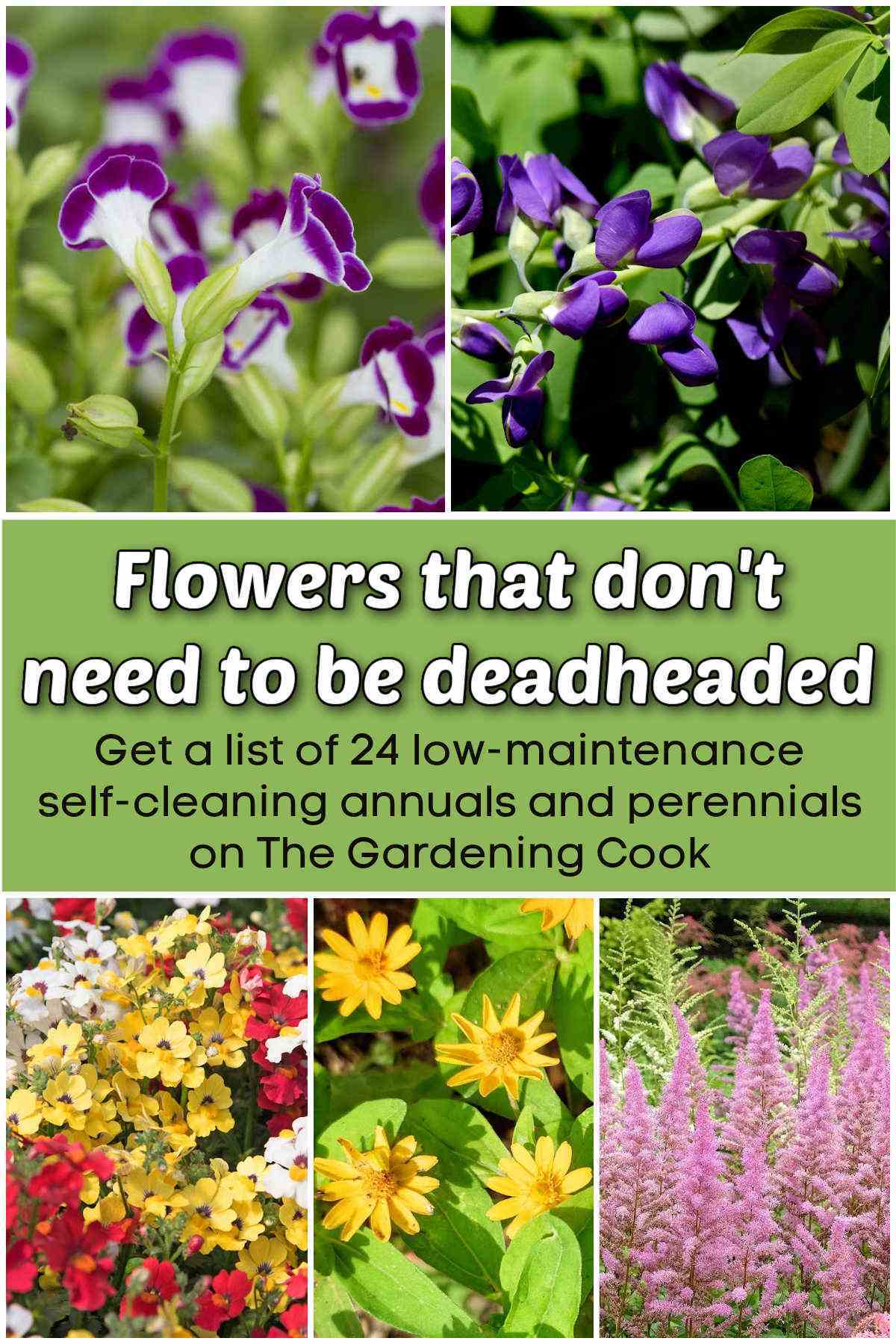 Uma colagem com fotos de flores. O bloco de texto verde diz Flores que não precisam ser deadheadadas. Obtenha uma lista de 24 anuais e perenes de baixa manutenção e autolimpantes no The Gardening Cook.