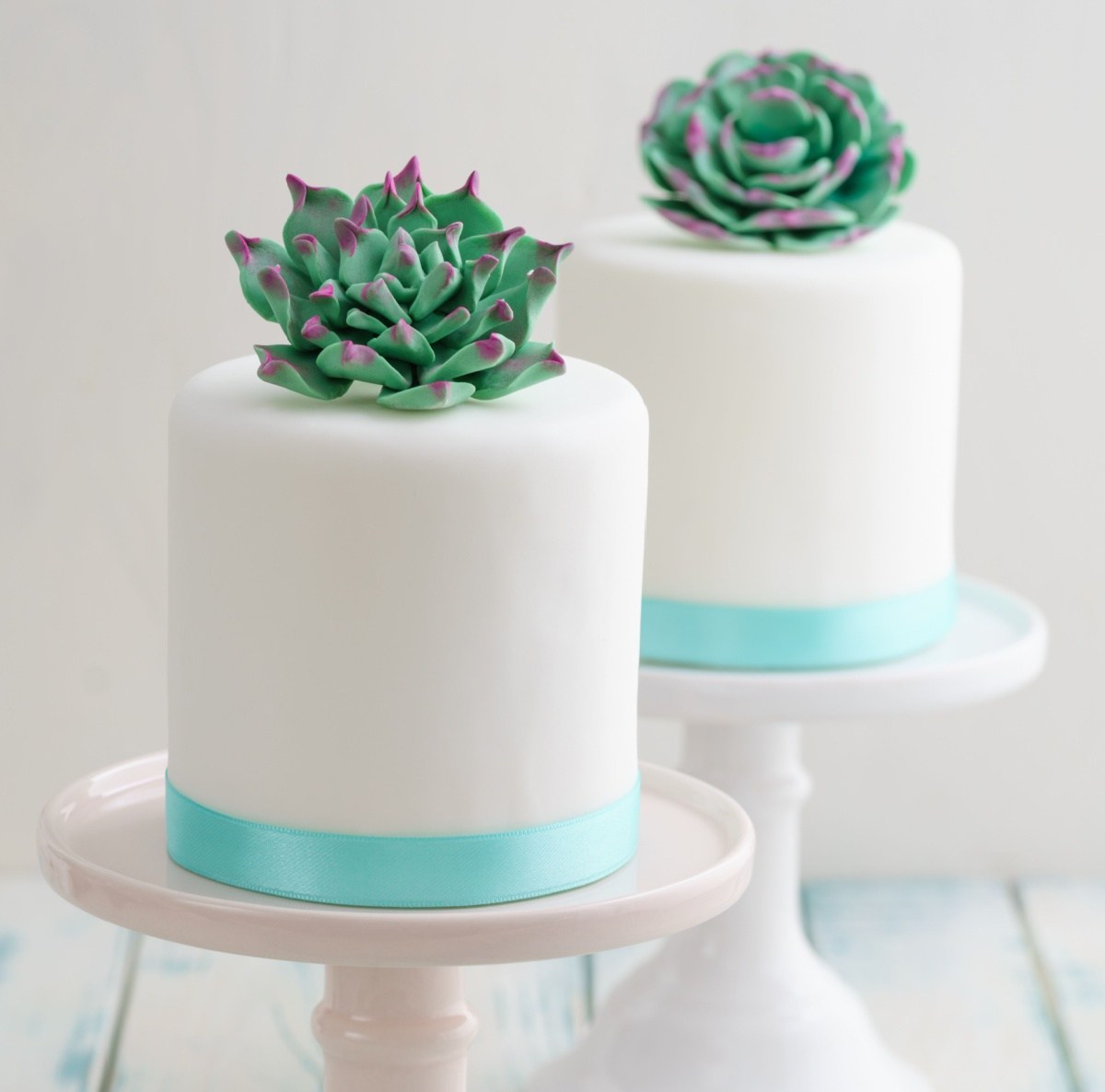 Dois pequenos bolos brancos de uma camada com suculentas, cada um em seu próprio suporte, com uma fita cor menta contornando a base e suculentas de fondant e pasta de goma no topo dos bolos.