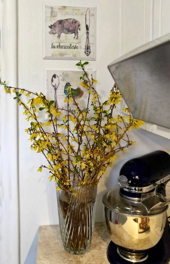 Forçando ramos de forsítia com flores amarelas em uma bancada de cozinha ao lado de uma batedeira e pinturas.