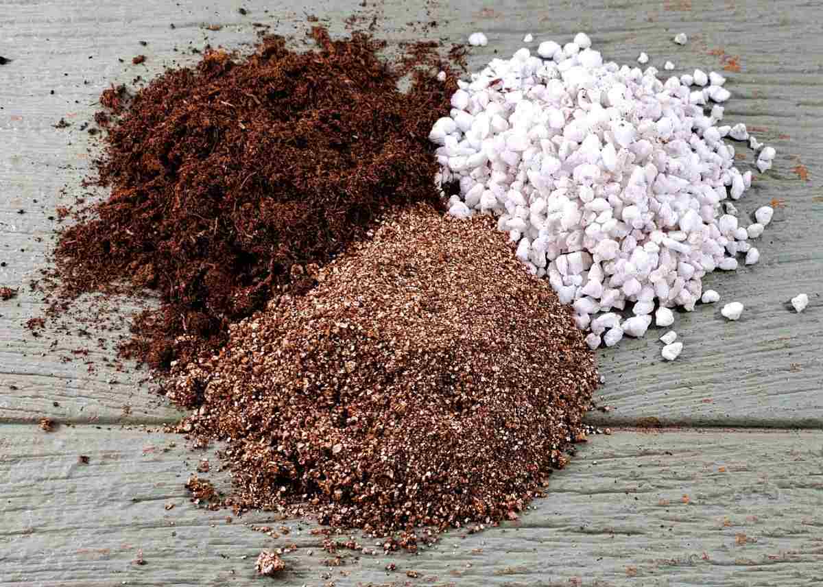 Turfa, perlita e vermiculita em pequenos montes sobre uma bancada de madeira usados para a propagação de forsítia.