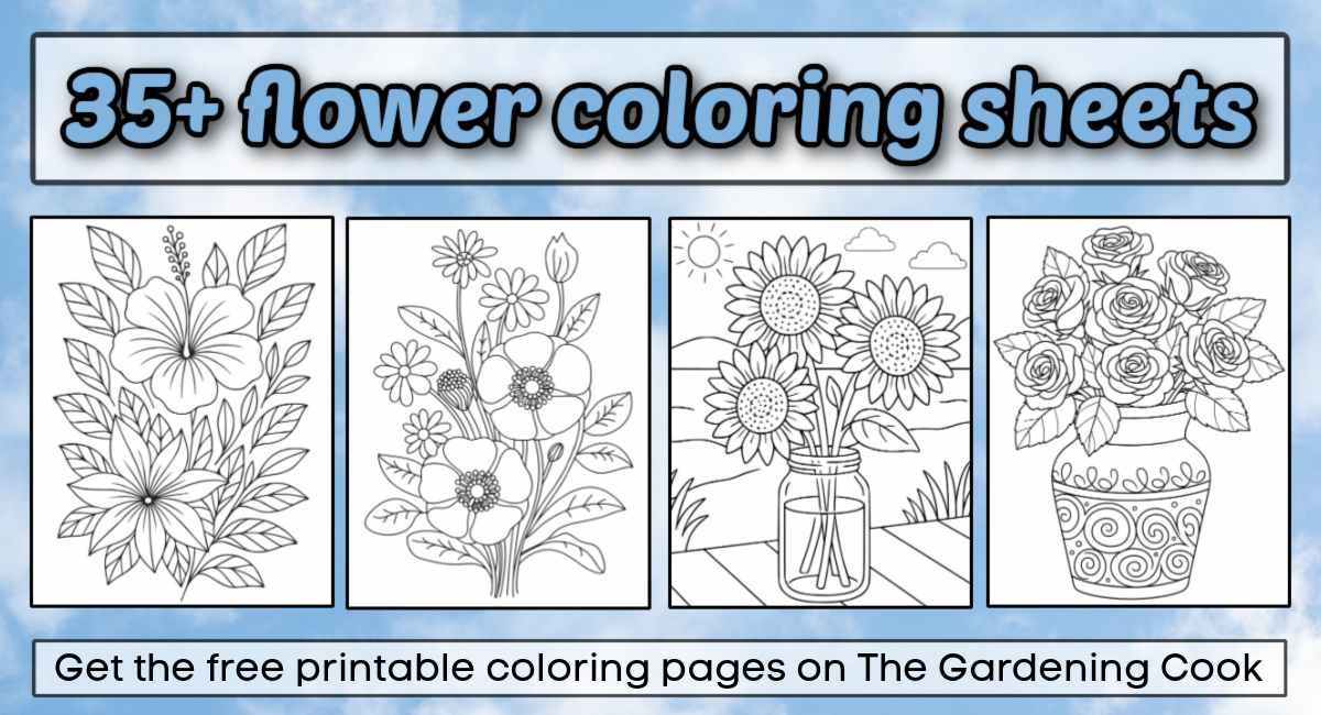 Uma colagem de quatro folhas para colorir de flores grátis para imprimir sob uma sobreposição de texto que diz 35+ folhas para colorir de flores.